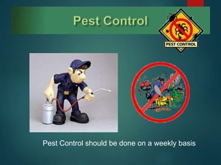 Pest Control should be done on a weekly basis
 