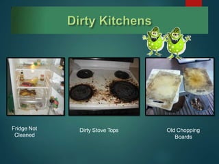 Fridge Not
Cleaned
Dirty Stove Tops Old Chopping
Boards
 
