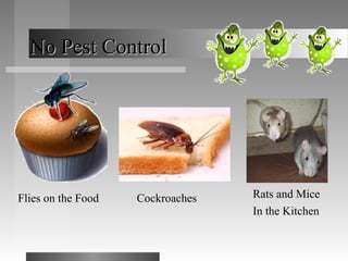 No Pest ControlNo Pest Control
Flies on the Food Cockroaches Rats and Mice
In the Kitchen
 