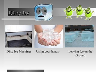 Dirty IceDirty Ice
Dirty Ice Machines Using your hands Leaving Ice on the
Ground
 