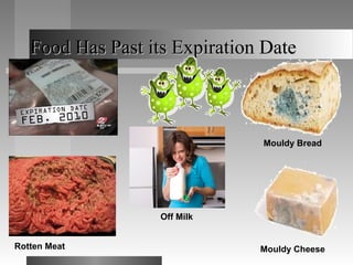 Food Has Past its Expiration DateFood Has Past its Expiration Date
Rotten Meat Mouldy Cheese
Mouldy Bread
Off Milk
 