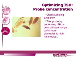 In situ hybridization (ISH) analyses | PPT