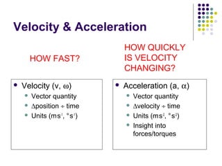 Velocity & Acceleration
                                   HOW QUICKLY
        HOW FAST?                  IS VELOCITY
                                   CHANGING?
   Velocity (v, ω)               Acceleration (a, α)
       Vector quantity               Vector quantity
       ∆position ÷ time              ∆velocity ÷ time
       Units (m.s-1, °.s-1)          Units (m.s-2, °.s-2)
                                      Insight into
                                       forces/torques
 