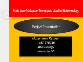 Basic Labe Molecular Techniques Used in Biotechnology
.
Muhammad Kamran
1457-315026
MSc Biology
Semester 5th
Project Presentation
 