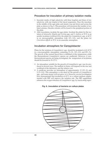 Procedure for inoculation of primary isolation media
1. Inoculate media of high selectivity with three loopfuls and those of low
selectivity with one loopful of the faecal suspension. Place the inoculum
in the middle of the agar plate and streak it up and down and across the
plate as shown in Fig. 6. This procedure will maximize the number of iso-
lated colonies. Discrete colonies will be found in the peripheral portion of
the plate.
2. After inoculation, incubate the agar plates. Incubate the plates for the iso-
lation of Salmonella, Shigella and Yersinia spp. and V. cholerae at 35∞C in an
aerobic incubator (without CO2), the plates for Campylobacter spp. at 42∞C
in an microaerophilic atmosphere with 10% CO2, and the plates for
Clostridium difﬁcile at 35∞C in an anaerobic atmosphere.
Incubation atmosphere for Campylobacter
Plates for the isolation of Campylobacter spp. should be incubated at 42–43∞C
in a microaerophilic atmosphere containing 5% O2, 10% CO2 and 85% N2.
The growth of the normal faecal ﬂora is inhibited at this temperature while
the thermotolerant Campylobacter species are unaffected. However, if non-
thermotolerant species are being investigated, the temperature of incubation
should be lowered to 35–37∞C.
• An atmosphere suitable for the growth of Campylobacter spp. may be pro-
duced in several ways. The method of choice will depend on the size and
workload of the laboratory, and the relative cost.
• A candle-jar provides an atmosphere of approximately 17–19% O2 and
2–3% CO2. This atmosphere is not ideal for the growth of Campylobacter
spp., and some strains will not grow in it. However, several investigators
have demonstrated that incubation at 42∞C on a culture medium supple-
mented with FBP will improve the isolation rate. The FBP supplement
enhances the oxygen tolerance of Campylobacter spp. by inactivating super-
43
BACTERIOLOGICAL INVESTIGATIONS
A
Fig. 6. Inoculation of bacteria on culture plates
BLM1 1/17/04 2:01 PM Page 43
 