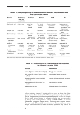 yellow colonies, whereas V. parahaemolyticus grows as large, ﬂat, blue-
green colonies. Some strains of V. cholerae may also appear green or colour-
less on TCBS because of delayed sucrose fermentation. On TTGA, colonies
develop dark centres because of telluride reduction and are surrounded
by cloudy zones due to gelatinase activity. On BSA and MEA, V. cholerae
colonies are translucent, usually with a ﬂat surface and clear-cut margin;
they are easily differentiated from colonies of Enterobacteriaceae under
oblique light illumination or when examined against the day light at an
48
Table 9. Colony morphology of common enteric bacteria on differential and
selective plating media
Species MacConkey XLD agar SS agar DCA HEA
agar with
crystal violet
Escherichia coli Pink to rose Large, ﬂat, Pink to red, Pink, encircled Large, salmon-
yellow, inhibited, by zone of pink to orange,
opaque growth precipitate encircled by zone
of precipitate
Shigella spp. Colourless Red Colourless Colourless to tan Green, moist and
raised
Salmonella spp. Colourless Red, with or Colourless, with Colourless to tan, Blue-green, with
without or without with or without or without black
black centre black centre black centre centre
Enterobacter/ Pink, mucoid Yellow, mucoid Pink, inhibited Large, pale mucoid Large, salmon-
Klebsiella. growth with pink centre orange
spp.
Proteus/ Colourless, Red, some Colourless, with Large, colourless Blue-green or
Providencia inhibited, Proteus spp. or without to tan, with or salmon, with or
spp. swarming have black grey-black without black without black
centre centre centre centre
Yersinia Colourless Yellow, irregular Colourless Colourless Salmon
enterocolitica
Enterococci No growth No growth to No growth No growth to No growth to slight
slight growth slight growth growth
XLD: Xylose-Lysine–Deoxycholate; DCA: Deoxycholate–citrate; SS: Salmonella-Shigella; HEA: Hektoen enteric
Table 10. Interpretation of Enterobacteriaceae reactions
on Kligler’s iron agar (KIA)
Reaction Interpretation
Acid butt (yellow) and alkaline slant (red) Only glucose fermented
Acid throughout medium (butt and slant Glucose and lactose fermented
yellow)
Alkaline throughout medium (butt and Neither glucose nor lactose fermented
slant red)
Gas bubbles in butt or cracks in the Gas-producing bacteria
medium
Blackening in the butt Hydrogen sulﬁde (H2S) produced
STOOL
BLM1 1/17/04 2:01 PM Page 48
 