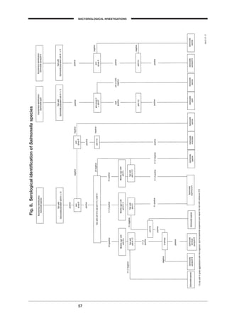 57
BACTERIOLOGICAL INVESTIGATIONS
A
Fig.8.SerologicalidentiﬁcationofSalmonellaspecies
BLM1 1/17/04 2:01 PM Page 57
 