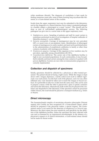 white membrane (thrush). The diagnosis of candidiasis is best made by
ﬁnding numerous yeast cells, some of them forming long mycelium-like ﬁla-
ments, in a Gram-stained smear of the exudate.
Swabs from the upper respiratory tract may be submitted to the laboratory,
not for the diagnosis of a clinical infection, but to detect a potential pathogen
in a healthy subject, a pharyngeal or a nasal “carrier”. This should only be
done as part of well-deﬁned epidemiological surveys. The following
pathogens can give rise to a carrier state in the upper respiratory tract:
• Staphylococcus aureus. Sampling of patients and staff for nasal carriers is
sometimes performed as part of an investigation of hospital outbreaks of
Meticillin-resistant S. aureus (MRSA).
• Neisseria meningitidis. Carriage of meningococci may be very prevalent
(20% or more) even at non-epidemic times. Identiﬁcation of pharyngeal
carriers of meningococci is rarely needed, and need not be performed prior
to the administration of prophylactic antibiotics to family or other close
contacts of patients with meningococcal disease.
• Streptococcus pyogenes. Carriage of this organism in low numbers may be
prevalent, especially among schoolchildren (20–30%).
• Corynebacterium diphtheriae. The carrier rate of the diphtheria bacillus is
high in non-vaccinated populations. In such communities, it may be justi-
ﬁed to identify and treat carriers among the close contacts of a patient with
proven diphtheria. Carriers are rare when an immunization programme is
correctly implemented.
Collection and dispatch of specimens
Ideally, specimens should be collected by a physician or other trained per-
sonnel. The patient should sit facing a light source. While the tongue is kept
down with a tongue depressor, a sterile cotton-wool swab is rubbed vigor-
ously over each tonsil, over the back wall of the pharynx, and over any other
inﬂamed area. Care should be taken not to touch the tongue or buccal sur-
faces. It is preferable to take two swabs from the same areas. One can be used
to prepare a smear, while the other is placed into a glass or plastic container
and sent to the laboratory. Alternatively, both swabs may be placed in the con-
tainer and dispatched to the laboratory. If the specimen cannot be processed
within 4 hours, the swab should be placed in a transport medium (e.g. Amies
or Stuart).
Direct microscopy
The fusospirochaetal complex of necrotizing ulcerative pharyngitis (Vincent
angina) and Candida are best recognized on a Gram-stained smear, which
should be prepared if the physician makes a special request. The Gram-
stained smear is not useful for the detection of streptococci or Neisseria spp.
Moreover, the direct smear has poor sensitivity and speciﬁcity for the detec-
tion of the diphtheria bacillus, unless the specimen has been collected with
care and is examined by an experienced microbiologist. In the absence of a
physician’s request or of clinical information, a Gram-stained smear should
not be made for throat swabs.
62
UPPER RESPIRATORY TRACT INFECTIONS
BLM1 1/17/04 2:01 PM Page 62
 