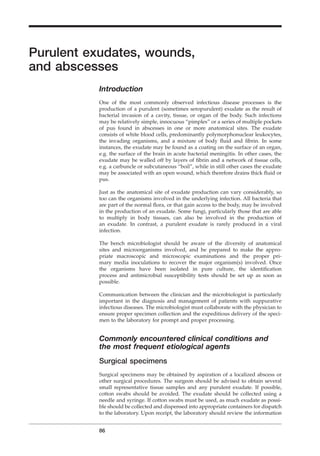 Purulent exudates, wounds,
and abscesses
Introduction
One of the most commonly observed infectious disease processes is the
production of a purulent (sometimes seropurulent) exudate as the result of
bacterial invasion of a cavity, tissue, or organ of the body. Such infections
may be relatively simple, innocuous “pimples” or a series of multiple pockets
of pus found in abscesses in one or more anatomical sites. The exudate
consists of white blood cells, predominantly polymorphonuclear leukocytes,
the invading organisms, and a mixture of body ﬂuid and ﬁbrin. In some
instances, the exudate may be found as a coating on the surface of an organ,
e.g. the surface of the brain in acute bacterial meningitis. In other cases, the
exudate may be walled off by layers of ﬁbrin and a network of tissue cells,
e.g. a carbuncle or subcutaneous “boil”, while in still other cases the exudate
may be associated with an open wound, which therefore drains thick ﬂuid or
pus.
Just as the anatomical site of exudate production can vary considerably, so
too can the organisms involved in the underlying infection. All bacteria that
are part of the normal ﬂora, or that gain access to the body, may be involved
in the production of an exudate. Some fungi, particularly those that are able
to multiply in body tissues, can also be involved in the production of
an exudate. In contrast, a purulent exudate is rarely produced in a viral
infection.
The bench microbiologist should be aware of the diversity of anatomical
sites and microorganisms involved, and be prepared to make the appro-
priate macroscopic and microscopic examinations and the proper pri-
mary media inoculations to recover the major organism(s) involved. Once
the organisms have been isolated in pure culture, the identiﬁcation
process and antimicrobial susceptibility tests should be set up as soon as
possible.
Communication between the clinician and the microbiologist is particularly
important in the diagnosis and management of patients with suppurative
infectious diseases. The microbiologist must collaborate with the physician to
ensure proper specimen collection and the expeditious delivery of the speci-
men to the laboratory for prompt and proper processing.
Commonly encountered clinical conditions and
the most frequent etiological agents
Surgical specimens
Surgical specimens may be obtained by aspiration of a localized abscess or
other surgical procedures. The surgeon should be advised to obtain several
small representative tissue samples and any purulent exudate. If possible,
cotton swabs should be avoided. The exudate should be collected using a
needle and syringe. If cotton swabs must be used, as much exudate as possi-
ble should be collected and dispensed into appropriate containers for dispatch
to the laboratory. Upon receipt, the laboratory should review the information
86
BLM1 1/17/04 2:02 PM Page 86
 