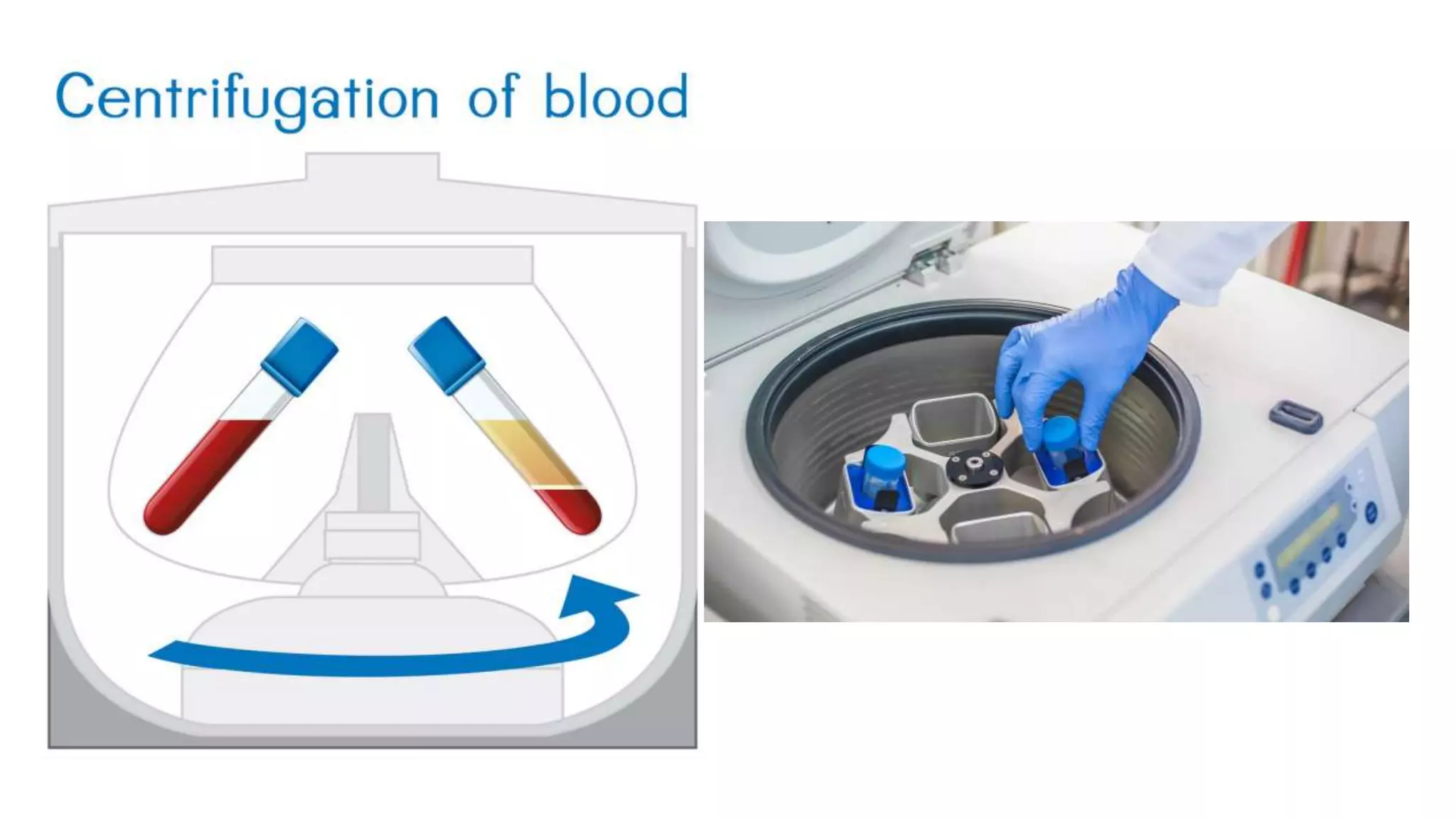 Basic laboratory techniques ppt