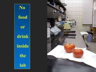 Basic lab safety principles | PPTX