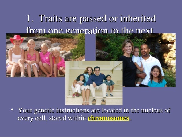 Basic Laws Of Genetics