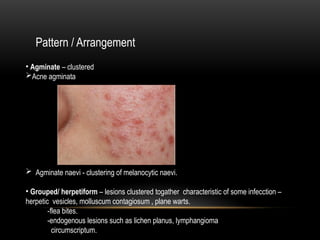 Comprehensive Principles of Clinical Diagnosis in Dermatology | PPTX