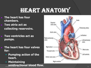 HEART ANATOMY
   The heart has four
    chambers.
   Two atria act as
    collecting reservoirs.

   Two ventricles act as
    pumps.

   The heart has four valves
    for:
      Pumping action of the
        heart.
      Maintaining
        unidirectional blood flow.
     HODS - November 2006            10
 