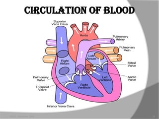 CIRCULATION OF BLOOD




HODS - November 2006               23
 