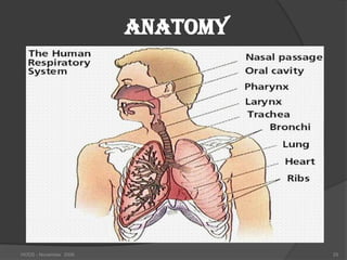 ANATOMY




HODS - November 2006             25
 