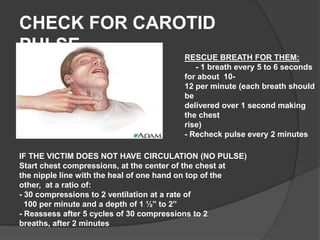 CHECK FOR CAROTID
PULSE
                                       RESCUE BREATH FOR THEM:
                                          - 1 breath every 5 to 6 seconds
                                       for about 10-
                                       12 per minute (each breath should
                                       be
                                       delivered over 1 second making
                                       the chest
                                       rise)
                                       - Recheck pulse every 2 minutes

IF THE VICTIM DOES NOT HAVE CIRCULATION (NO PULSE)
Start chest compressions, at the center of the chest at
the nipple line with the heal of one hand on top of the
other, at a ratio of:
- 30 compressions to 2 ventilation at a rate of
  100 per minute and a depth of 1 ½” to 2”
- Reassess after 5 cycles of 30 compressions to 2
breaths, after 2 minutes
 