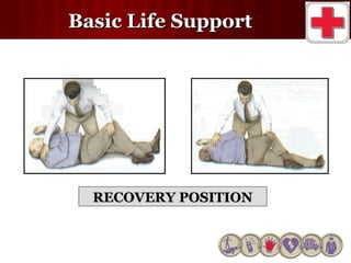 Bls Compression Position Basic life support | PPT
