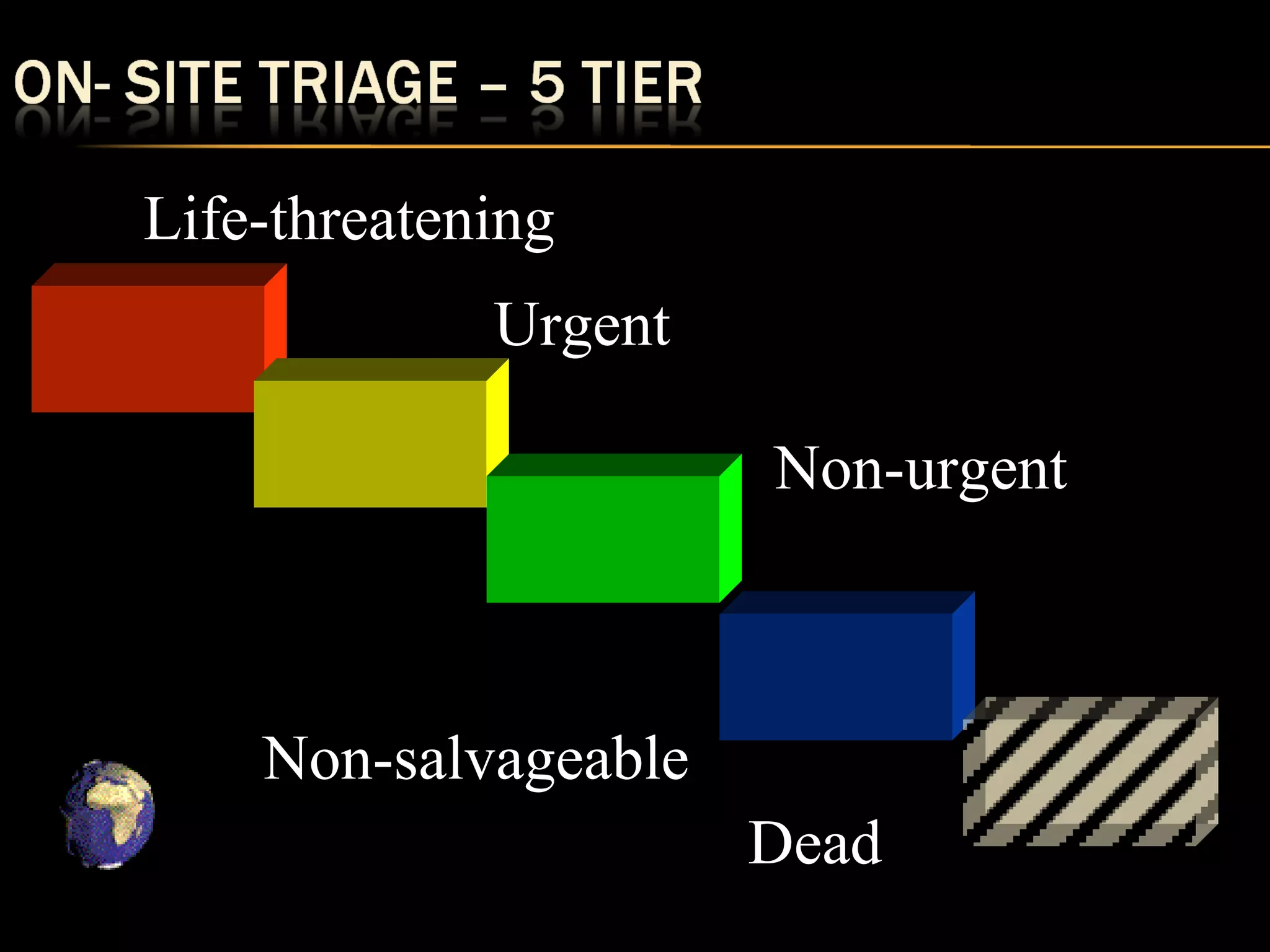 Life-threatening 
Urgent 
Non-urgent 
Non-salvageable 
Dead 
 