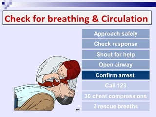 Basic life support | PPT