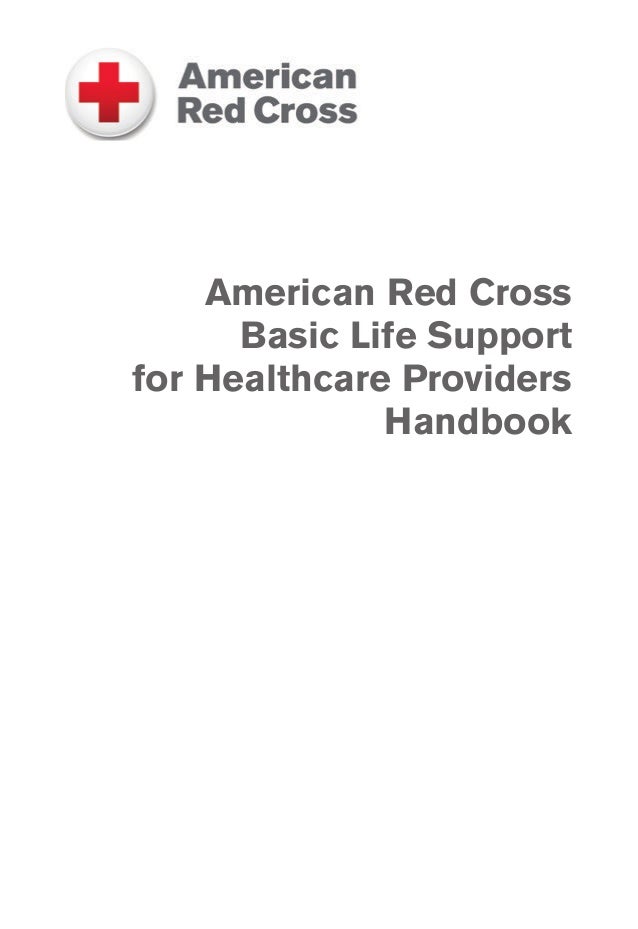 What topics are covered in the Basic Life Support for Healthcare Providers course?