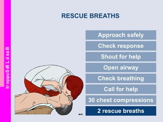 BasicLifeSupport
RESCUE BREATHS
Approach safely
Check response
Shout for help
Open airway
Check breathing
Call for help
30 chest compressions
2 rescue breaths
 