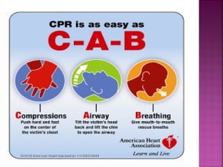 Basic life support | PPT