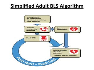 Simplified Adult BLS Algorithm
 