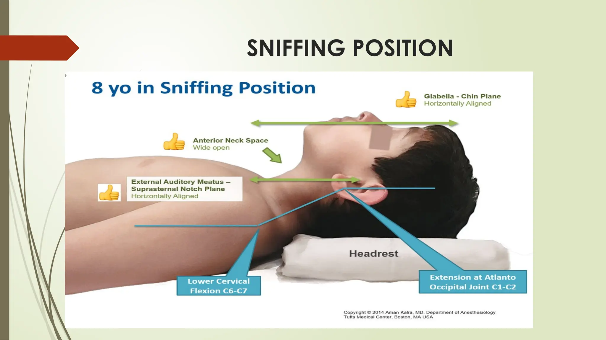 SNIFFING POSITION
 