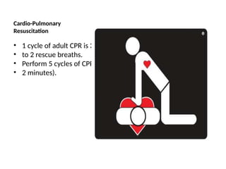 Cardio-Pulmonary
Resuscitation
• 1 cycle of adult CPR is 30 chest compressions
• to 2 rescue breaths.
• Perform 5 cycles of CPR (lasts approximately
• 2 minutes).
 