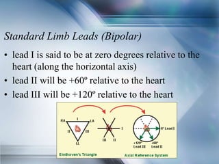 Standard Limb Leads (Bipolar)
• lead I is said to be at zero degrees relative to the
heart (along the horizontal axis)
• lead II will be +60º relative to the heart
• lead III will be +120º relative to the heart
 
