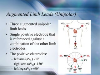 Augmented Limb Leads (Unipolar)
• Three augmented unipolar
limb leads
• Single positive electrode that
is referenced against a
combination of the other limb
electrodes.
• The positive electrodes:
– left arm (aVL) -30º
– right arm (aVR) -150º
– left leg (aVF) +90º
 
