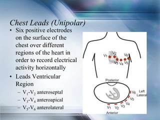 Chest Leads (Unipolar)
• Six positive electrodes
on the surface of the
chest over different
regions of the heart in
order to record electrical
activity horizontally
• Leads Ventricular
Region
– V1-V2 anteroseptal
– V3-V4 anteroapical
– V5-V6 anterolateral
 