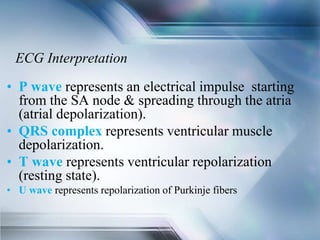 ECG Interpretation
• P wave represents an electrical impulse starting
from the SA node & spreading through the atria
(atrial depolarization).
• QRS complex represents ventricular muscle
depolarization.
• T wave represents ventricular repolarization
(resting state).
• U wave represents repolarization of Purkinje fibers
 