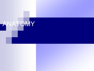 ANATOMY
 