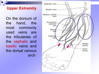 Upper Extremity
On the dorsum of
the hand, the
most commonly
used veins are
the tributaries of
the cephalic and
basilic veins and
the dorsal venous
arch
 