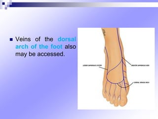  Veins of the dorsal
arch of the foot also
may be accessed.
 