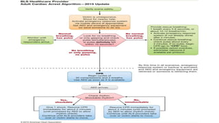BASIC LIFE SUPPORT SCORT.pptx