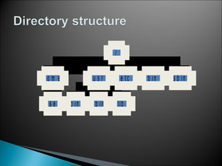 4
u s e r
h o m e
b in s b in lib
u s r e tc b in s b in
/
 