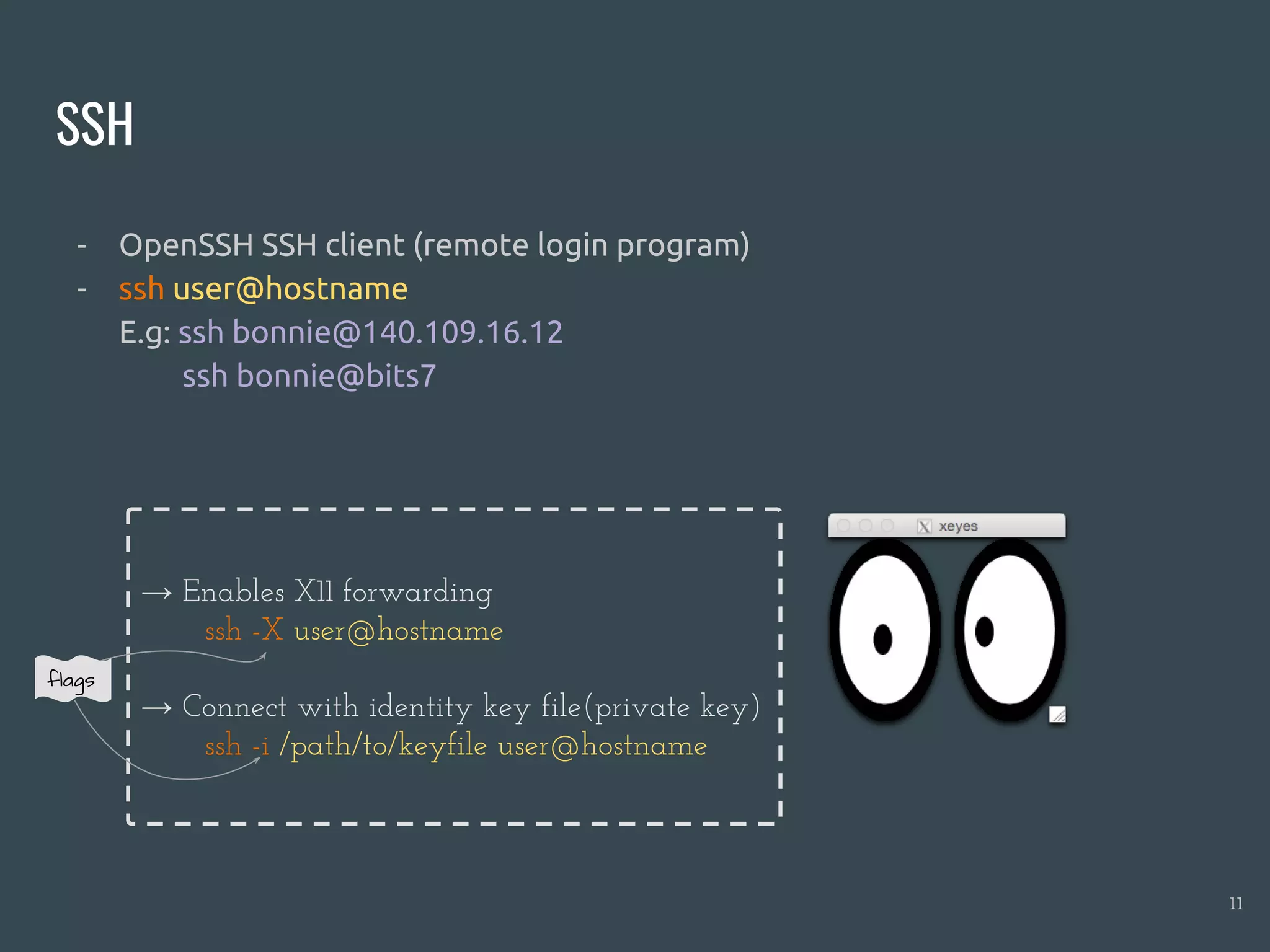 SSH
- OpenSSH SSH client (remote login program)
- ssh user@hostname
E.g: ssh bonnie@140.109.16.12
ssh bonnie@bits7
11
→ Enables X11 forwarding
ssh -X user@hostname
→ Connect with identity key file(private key)
ssh -i /path/to/keyfile user@hostname
flags
 
