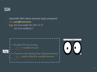 SSH
- OpenSSH SSH client (remote login program)
- ssh user@hostname
E.g: ssh bonnie@140.109.16.12
ssh bonnie@bits7
11
→ Enables X11 forwarding
ssh -X user@hostname
→ Connect with identity key file(private key)
ssh -i /path/to/keyfile user@hostname
flags
 