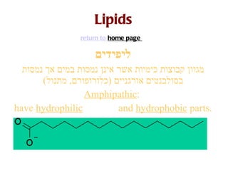 Lipids return to  home page    ליפידים מגוון קבוצות כימיות אשר אינן נמסות במים אך נמסות בסולבנטים אורגניים  ( כלורופורם ,  מתנול ) Amphipathic :  have  hydrophilic   and  hydrophobic  parts. 