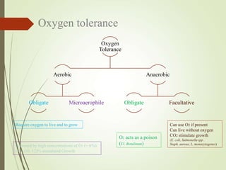 O2 Tolerance Test Basic meat microbiology | PPSX