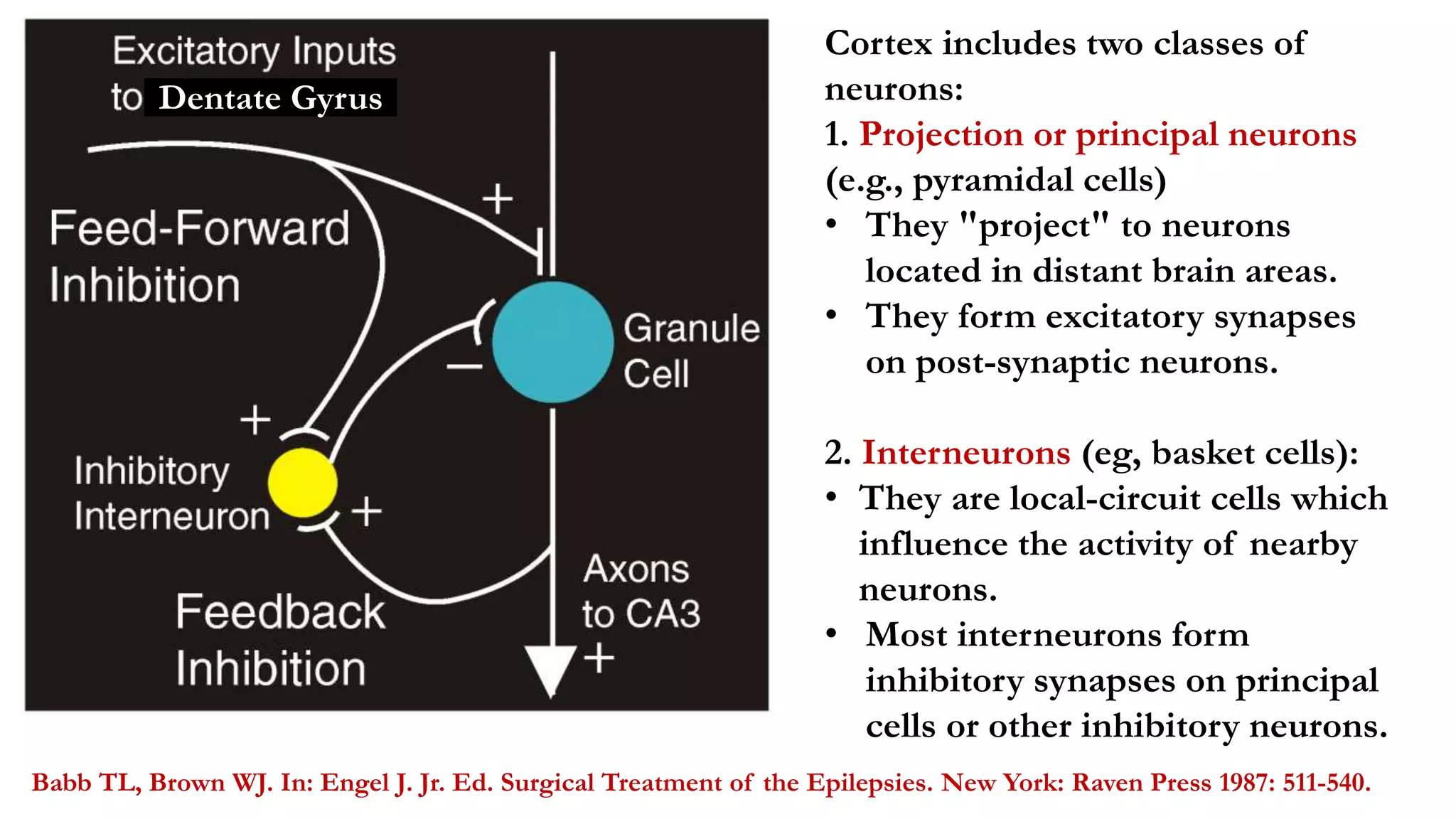 Basic mechanism of epilepsy | PPTX
