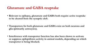 Glutamate and GABA reuptake
• Relevant to epilepsy, glutamate and GABA both require active reuptake
to be cleared from the synaptic cleft.
• Transporters for both glutamate and GABA exist on both neurons and
glia (primarily astrocytes).
• Interference with transporter function has also been shown to activate
or suppress epileptiform activity in animal models, depending on which
transporter is being blocked.
 
