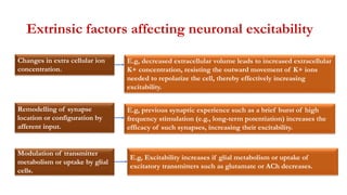 Changes in extra cellular ion
concentration.
Extrinsic factors affecting neuronal excitability
Remodelling of synapse
location or configuration by
afferent input.
Modulation of transmitter
metabolism or uptake by glial
cells.
E.g, decreased extracellular volume leads to increased extracellular
K+ concentration, resisting the outward movement of K+ ions
needed to repolarize the cell, thereby effectively increasing
excitability.
E.g, previous synaptic experience such as a brief burst of high
frequency stimulation (e.g., long-term potentiation) increases the
efficacy of such synapses, increasing their excitability.
E.g, Excitability increases if glial metabolism or uptake of
excitatory transmitters such as glutamate or ACh decreases.
 