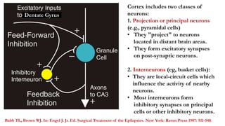 Babb TL, Brown WJ. In: Engel J. Jr. Ed. Surgical Treatment of the Epilepsies. New York: Raven Press 1987: 511-540.
Cortex includes two classes of
neurons:
1. Projection or principal neurons
(e.g., pyramidal cells)
• They "project" to neurons
located in distant brain areas.
• They form excitatory synapses
on post-synaptic neurons.
2. Interneurons (eg, basket cells):
• They are local-circuit cells which
influence the activity of nearby
neurons.
• Most interneurons form
inhibitory synapses on principal
cells or other inhibitory neurons.
Dentate Gyrus
 