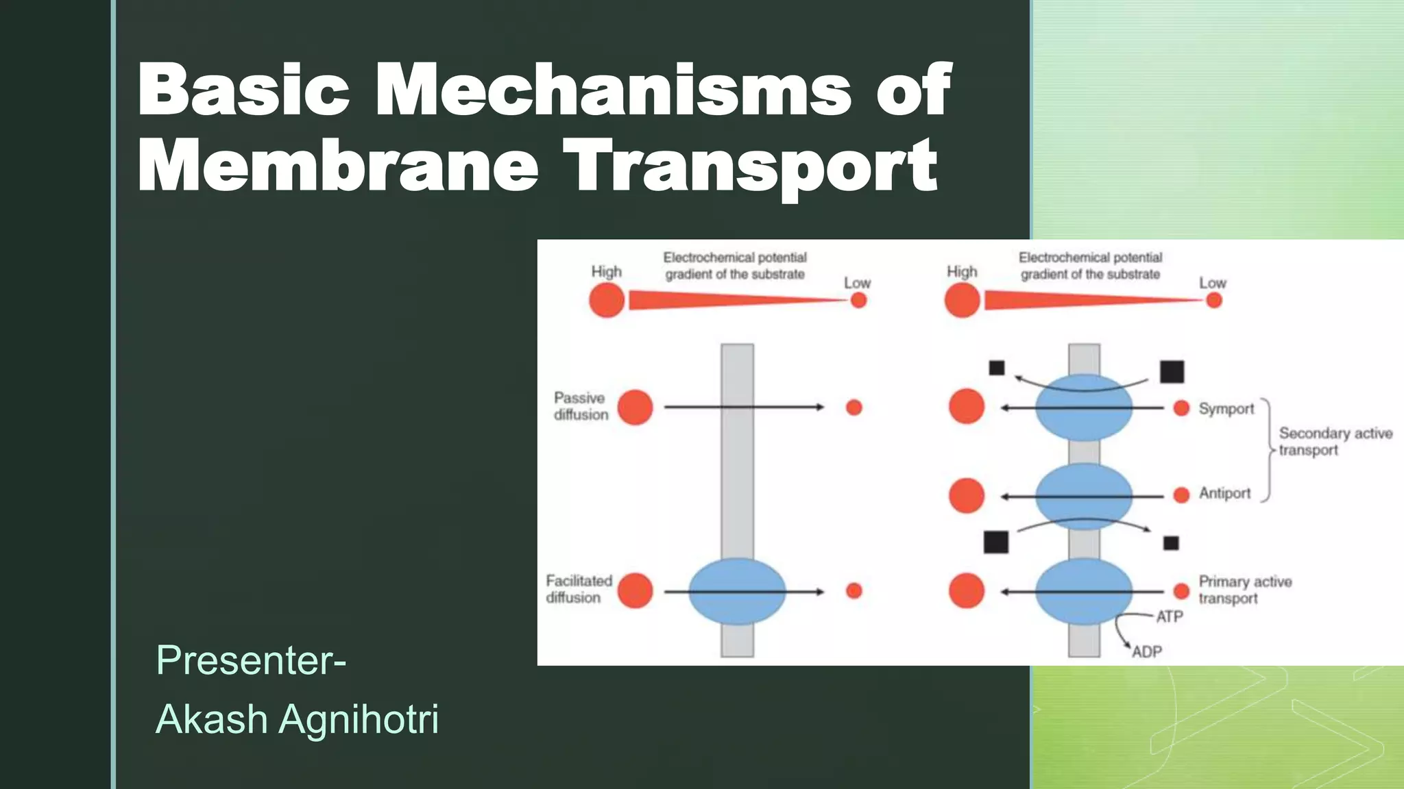 Basic Mechanisms of Membrane Transport | PPTX