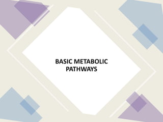 BASIC METABOLIC
PATHWAYS
 