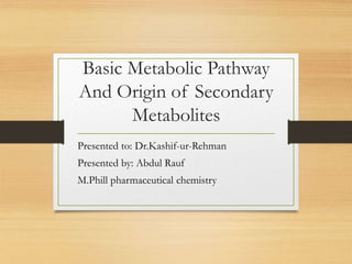 Basic Metabolic Pathway
And Origin of Secondary
Metabolites
Presented to: Dr.Kashif-ur-Rehman
Presented by: Abdul Rauf
M.Phill pharmaceutical chemistry
 